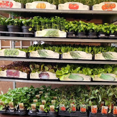 Picinali Fioristi Sas, Fiorista a Leffe