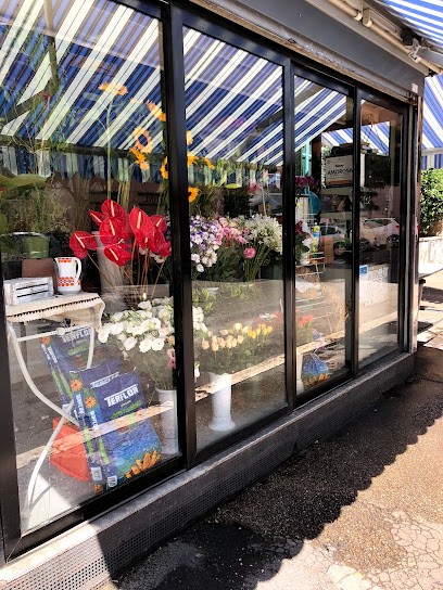 Un Fiore Per Te, Fiorista a Roma