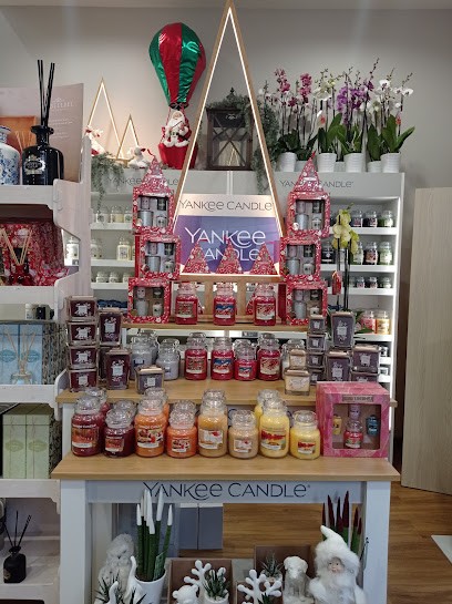 L'Angolo Fiorito Di Migliocco Maria, Fiorista a Gravina in Puglia