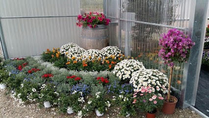 Vivai Carm Giardini, Fiorista a Cortona