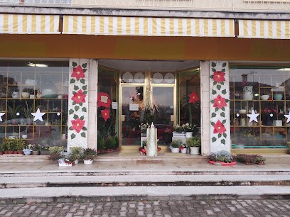 Fioridea Di Marzia Dalla Zuanna, Fiorista a Possagno