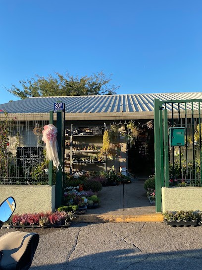 Agraria Stokovac (Garden), Fiorista a Trieste