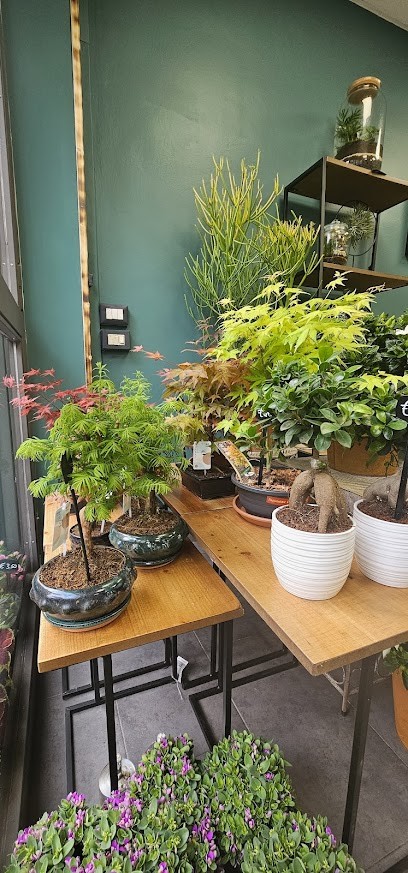 Fiori A Domicilio Roma - Cocos Fiori, Fiorista a Roma