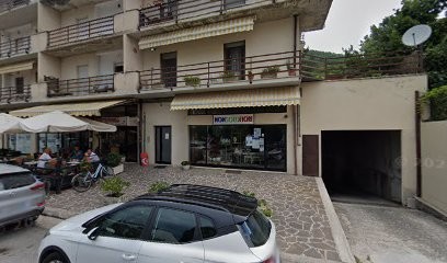 NONSOLOFIORI, Fiorista a Massa