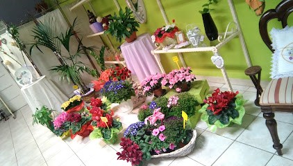 Fioricoltura La Vie En Rose, Fiorista a Oristano