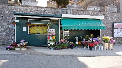 Fiori e piante di Sonia, Fiorista a Artena
