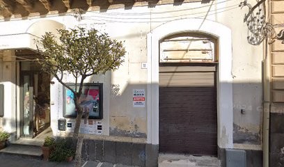 Fiorisi' Di Filoramo Domenica, Fiorista a Misterbianco