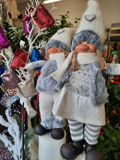 Fermata In Via Mazzini, Fiorista a Cervere