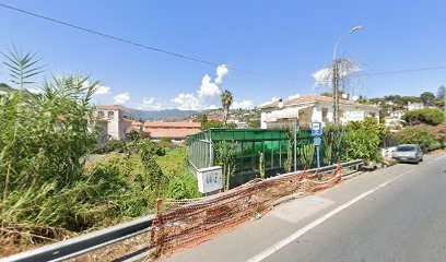 Jomal Riviera Blumen Und Grun S.N.C. Di De Flaviis Snc, Fiorista a Sanremo