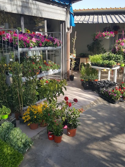 L'Arte Dei Fiori Di Pavone & Gambino, Fiorista a Grammichele