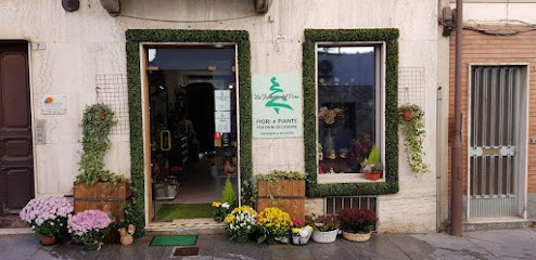 La Fioreria del Pino, Fiorista a Pino Torinese