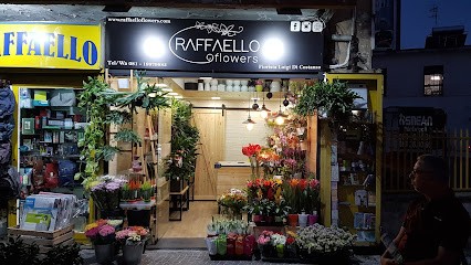 Raffaello Flowers Luigi Di Costanzo ( Fiori & Piante ), Fiorista a Napoli