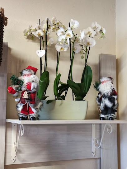 Floricoltura Giardini Di Santa Sofia, Fiorista a Pedemonte