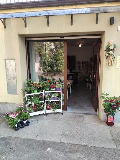 Fiori Renato, Fiorista a Pont Canavese