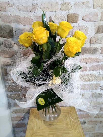 Fioreria Mancini Sas Di Mancini Gianluca & C., Fiorista a Corinaldo