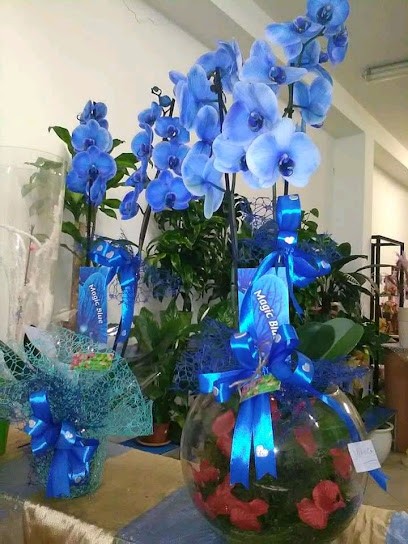 FIORI Di JO Di Liaci Milena, Fiorista a Copertino