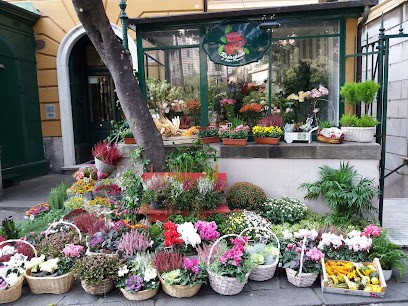 Rosaspina - I Fiori Di Piazza Corvetto, Fiorista a Genova