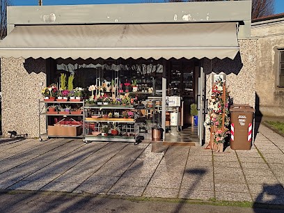 Moda Fiori, Fiorista a Rubiera