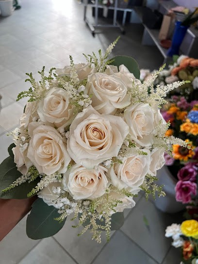 La Fenice Di Tesio Frida, Fiorista a Casalgrasso