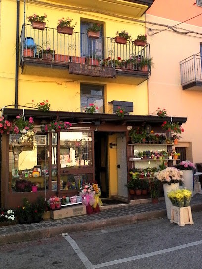 Scurria Salvatore, Fiorista a San Salvatore di Fitalia