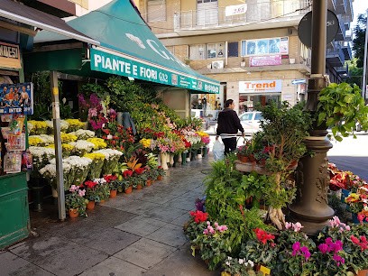 G32 Piante E Fiori Palermo, Fiorista a Palermo