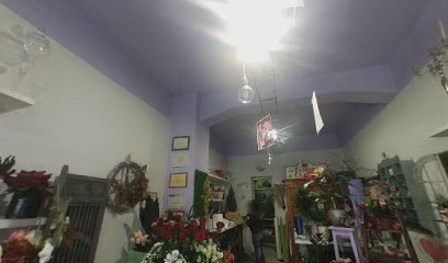 La Fioreria Di Carlotta, Fiorista a Monterotondo
