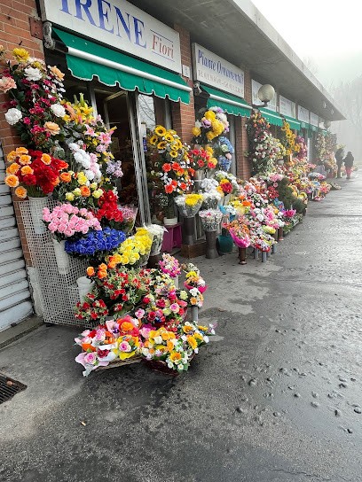 Irene - Fiori, Fiorista a Torino