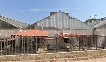 Caldarola Loredana, Fiorista a Terlizzi