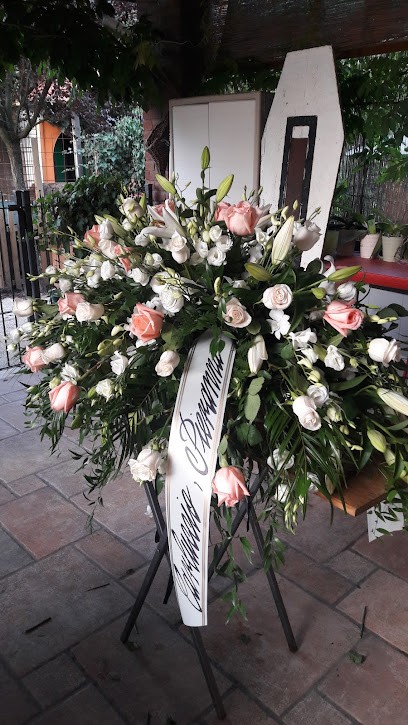 Fiorista Il Fiordaliso di Monti Lorenzo, Fiorista a Zinasco