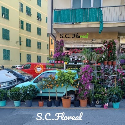 S.C. Floreal, Fiorista a Genova