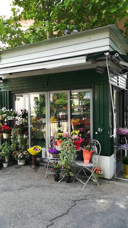 Il Chiosco Dei Fiori, Fiorista a Roma