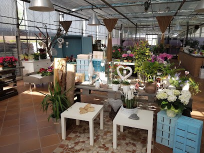 La Primula di Dametto Giuliana, Fiorista a Chiarano