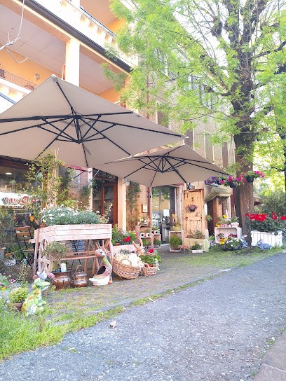 Petali Di Gioia, Fiorista a Modena