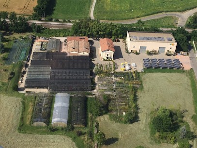 Pizzoni Celesta, Fiorista a Fidenza