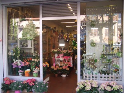 Fiorista Guerra Daniele, Fiorista a Imola