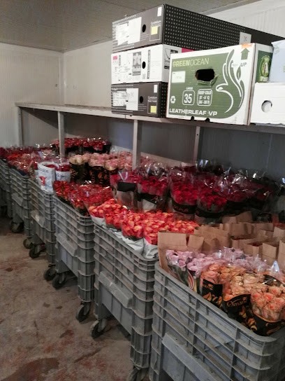 Emilflora Ingrosso Fiori, Fiorista a Pescara