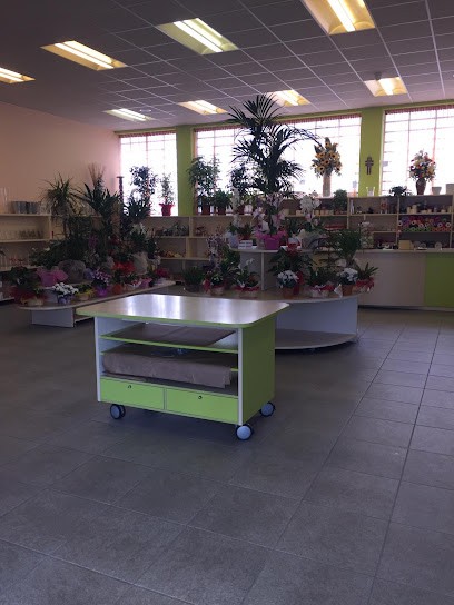 Sironi Flowers & Plants, Fiorista a Giussano
