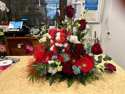 Fioreria Anna E Mauro Di Monia E Natascia, Fiorista a San Lazzaro di Savena