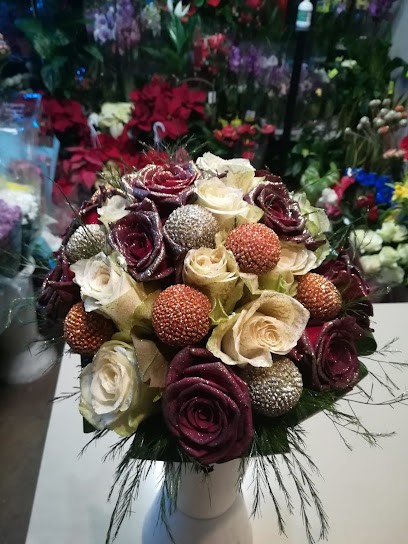 Il Chiosco, Fiorista a Rosignano Marittimo