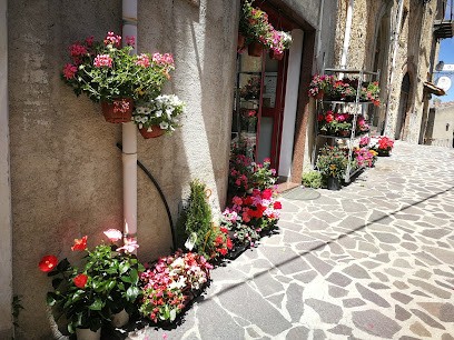 Corrao Giovanni Piante E Fiori, Fiorista a Galati Mamertino