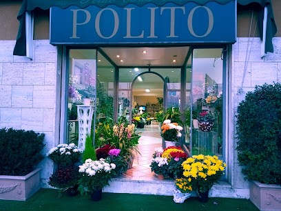 Fiori E Piante Di Polito Fortunato, Fiorista a Vibo Valentia