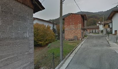 Ingrosso Fiori E Piante Di Giraldo Adriano, Fiorista a Ragogna