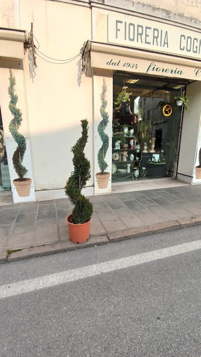 Fioreria Cogno Snc Di Cogno Umberto E Redenta, Fiorista a Dolo
