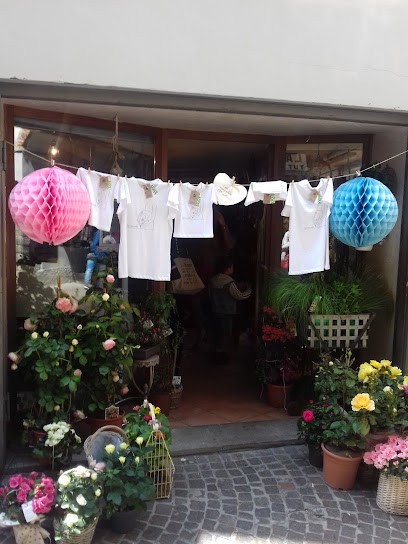 Petali e Verde, Fiorista a Cairo Montenotte