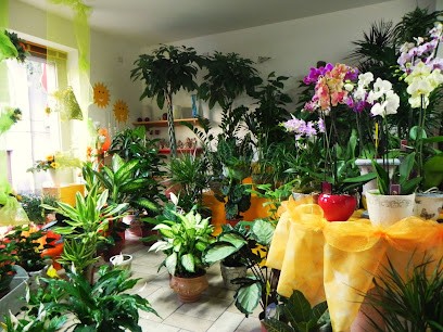 Fiori e Piante Giallosole, Fiorista a Dorgali