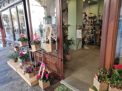 Chloe L'officina Del Fiore, Fiorista a Saluzzo