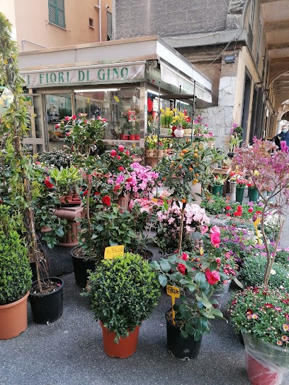 Fiori Di Gino, Fiorista a Genova