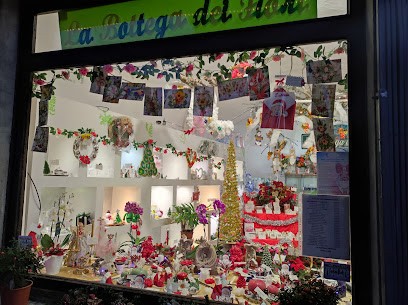 La Bottega Dei Fiori, Fiorista a Druento