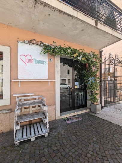 Love Flowers Di Padovani Elena, Fiorista a Povegliano Veronese