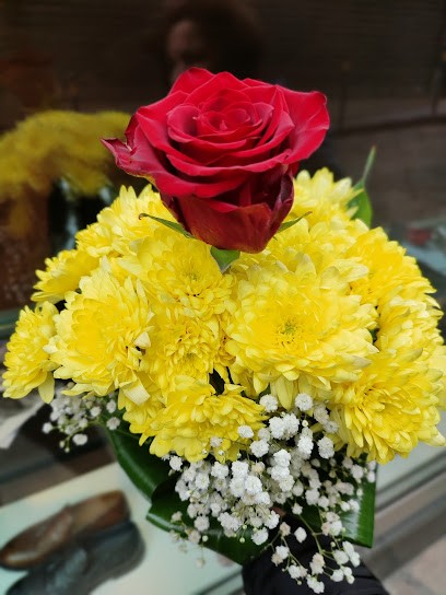 Tortora Pasquale, Fiorista a Marano di Napoli